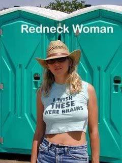 Redneck20Woman20Brains20Tee20Shirt.jpg