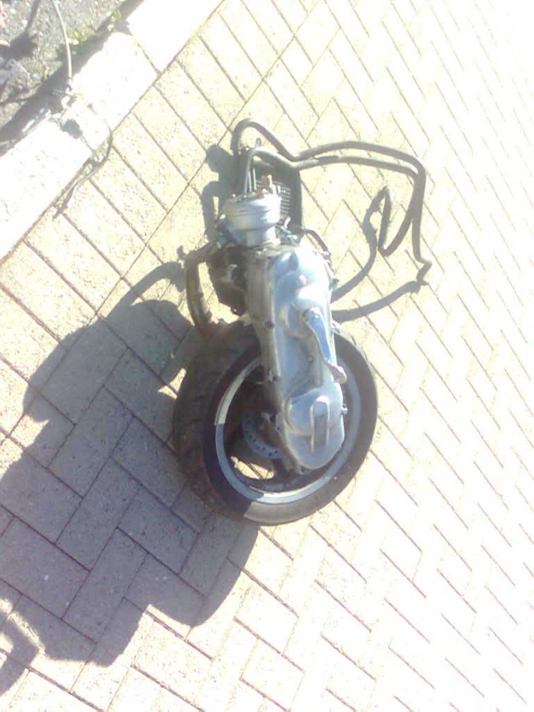 Postet bilde