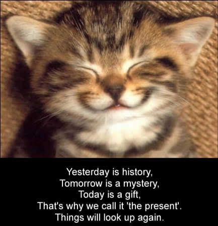 quotes about happiness and smiling. Cute Quotes On Happiness.