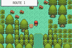 Route11.png