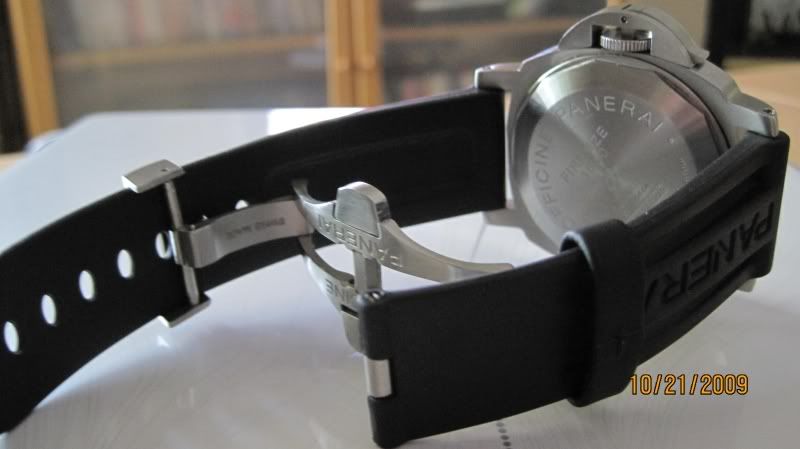 backofpam005a.jpg