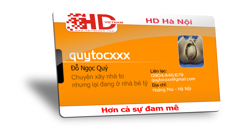 quytocxxx.png