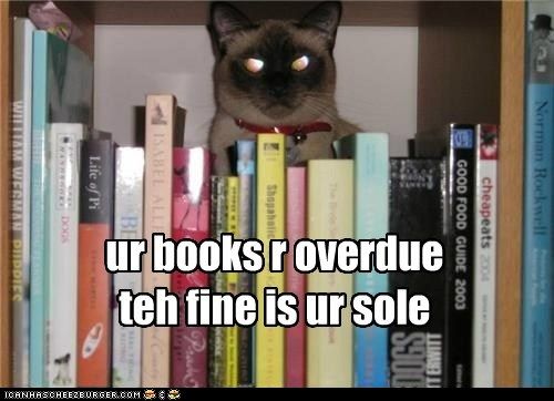 funny-cat-pictures-ur-books-r-overdueteh-fine-is-ur-sole.jpg