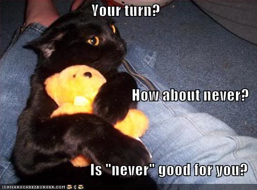 funny-pictures-cat-hugs-teddy-bear-jealously.jpg