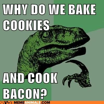 advice-animals-memes-why-do-we-bake-cookies-and-cook-bacon.jpg