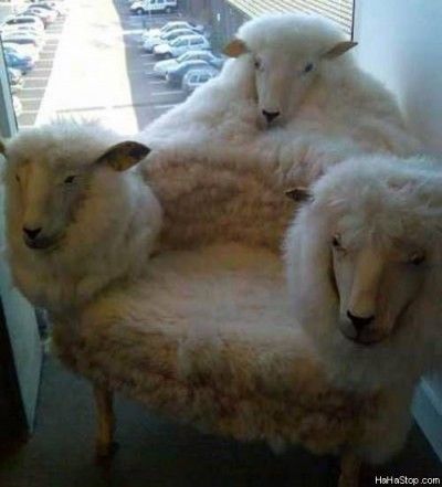sheep_chair-400x441.jpg