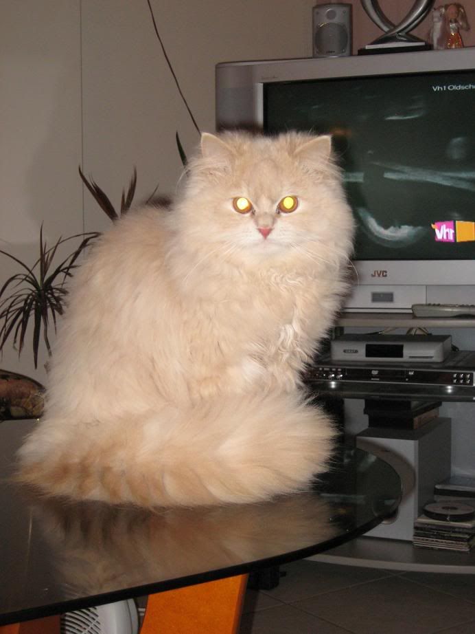 Качена снимка