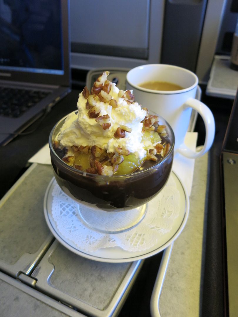 American Airlines First Class Ice Cream Sundae