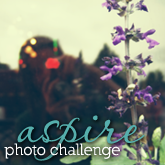 Aspire Photo Challenge