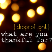 drops of light { a visual journal of gratefulness }