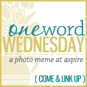 One Word Wednesday at Aspire