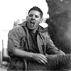 20081024_batch11_05.gif