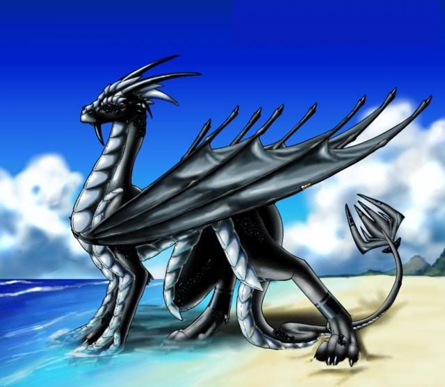 black Dragon Pictures, Images and Photos
