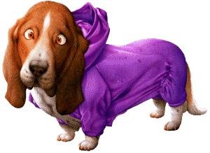 puppiesDogs1035B25D.gif cute dog image by jackie16232