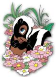 flower.jpg