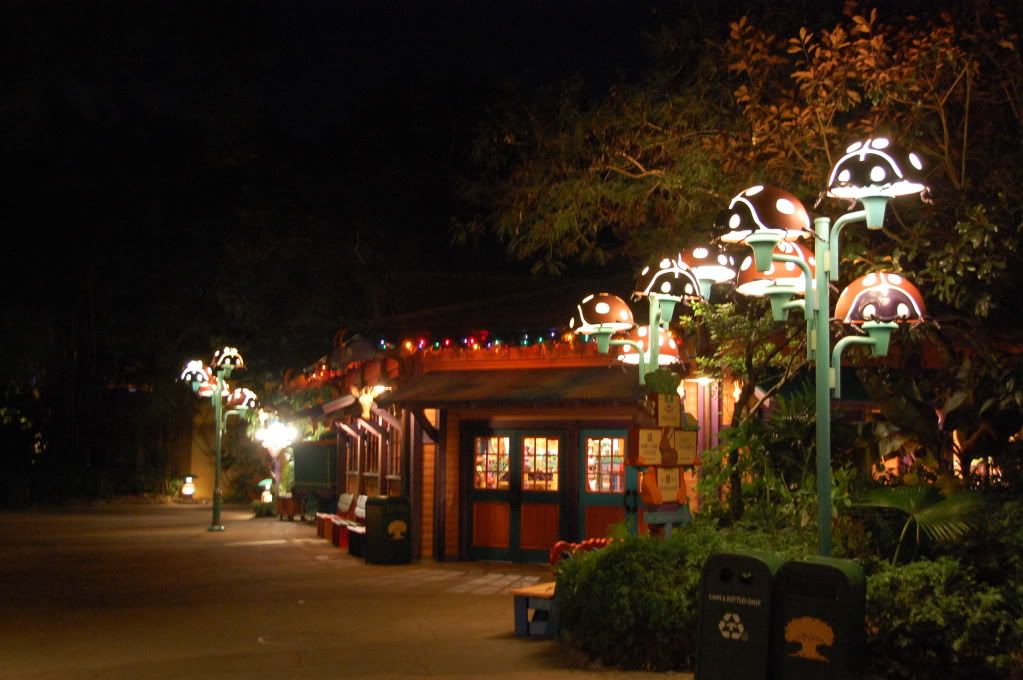 Disneyworld20081117.jpg