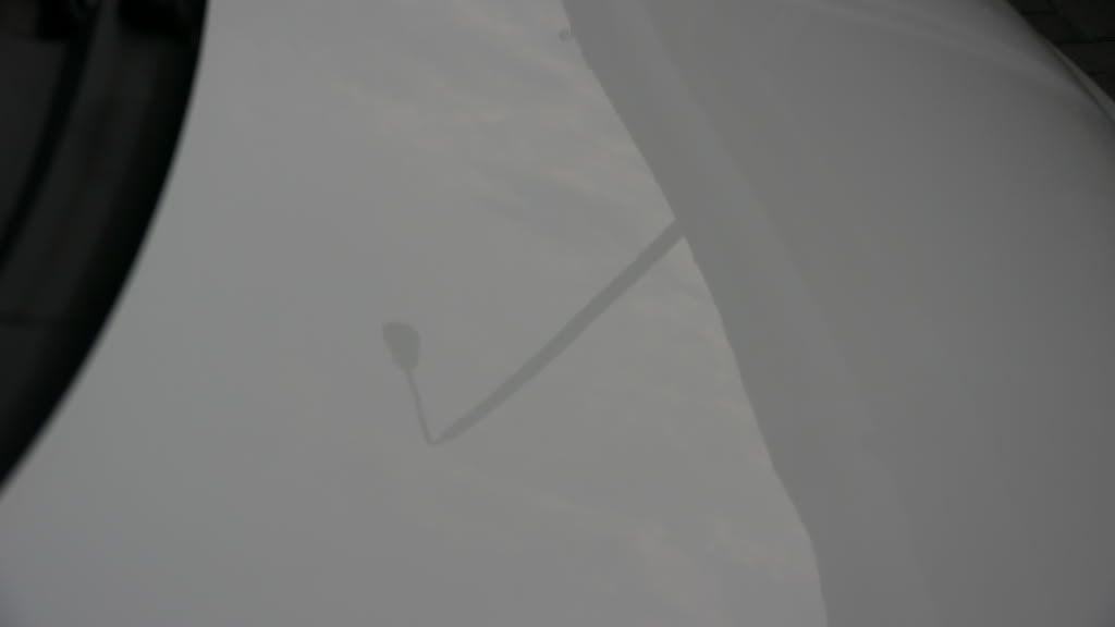 P1030500.jpg