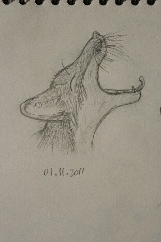 Sketchbook pt.11 - Geeuwende vos