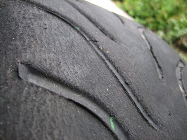 IMG_3174.jpg