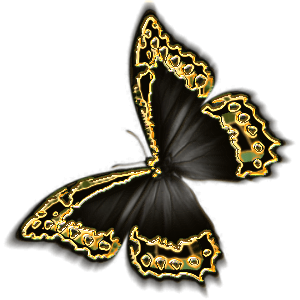 BLKgoldButterfly2.png picture by ACROBATA8