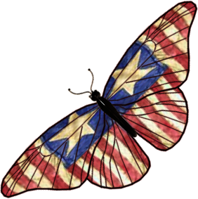 USAButterfly4RR.png picture by ACROBATA8