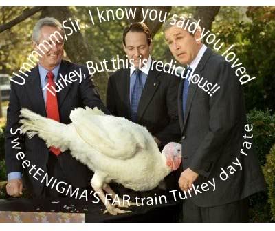 Turkey Bush Train
