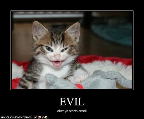 lolcat-evil.jpg