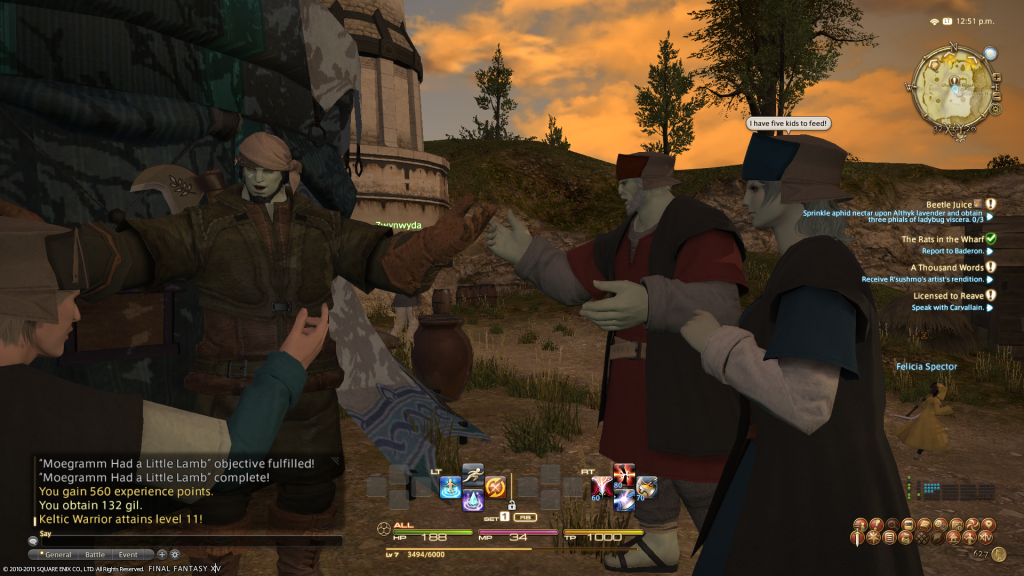 ffxiv_20130621_125154_zps67a008ef.png