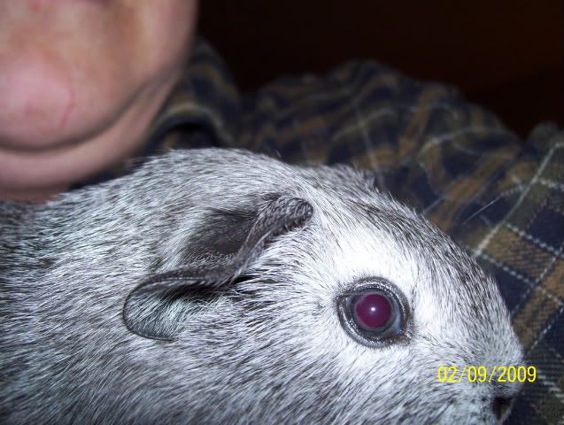 Picture001.jpg