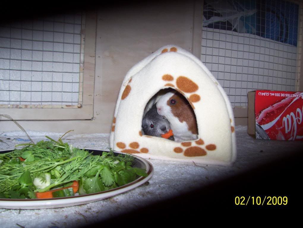 Picture007.jpg