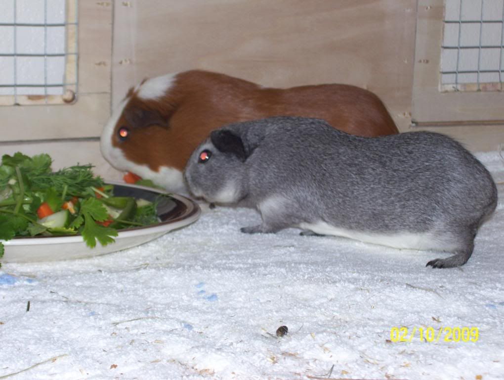 Picture011.jpg