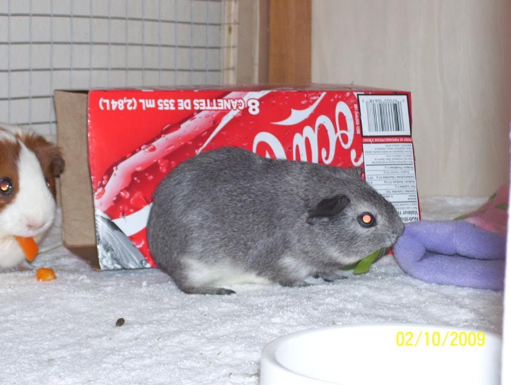 Picture015.jpg