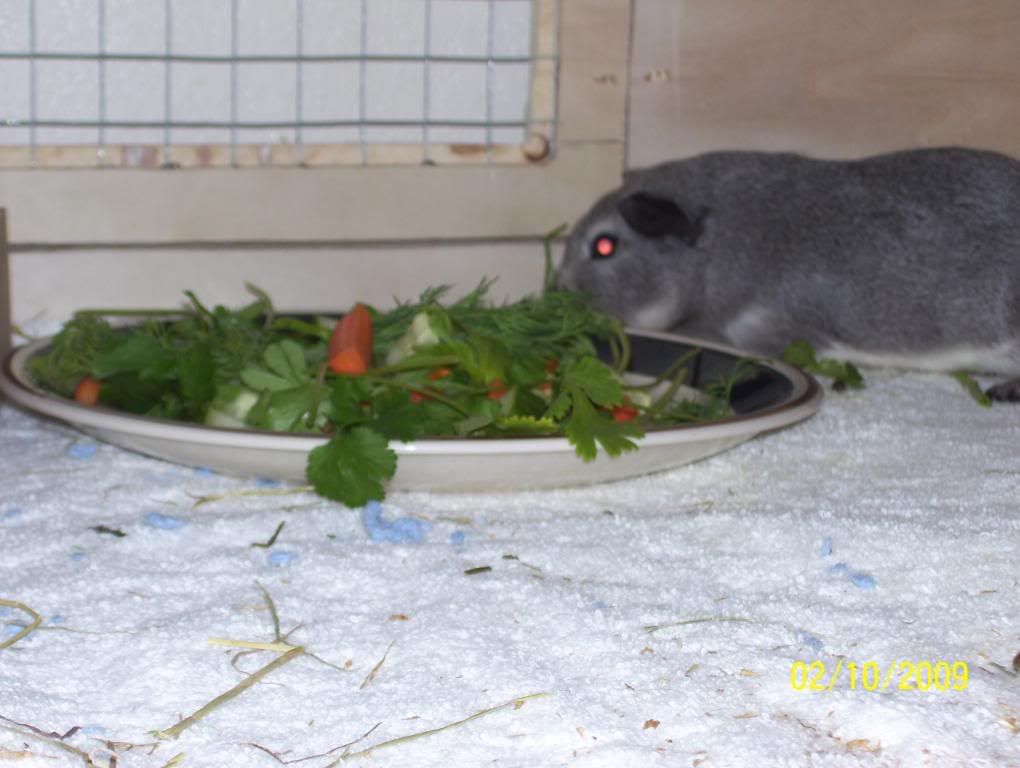 Picture016.jpg