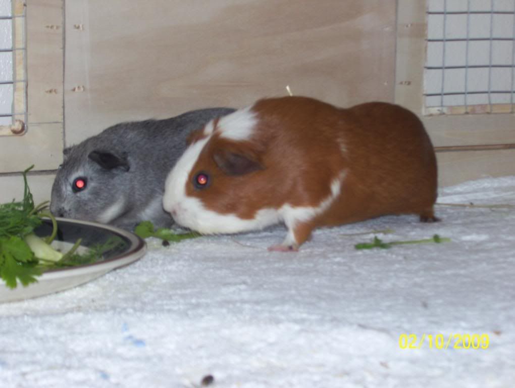 Picture017.jpg