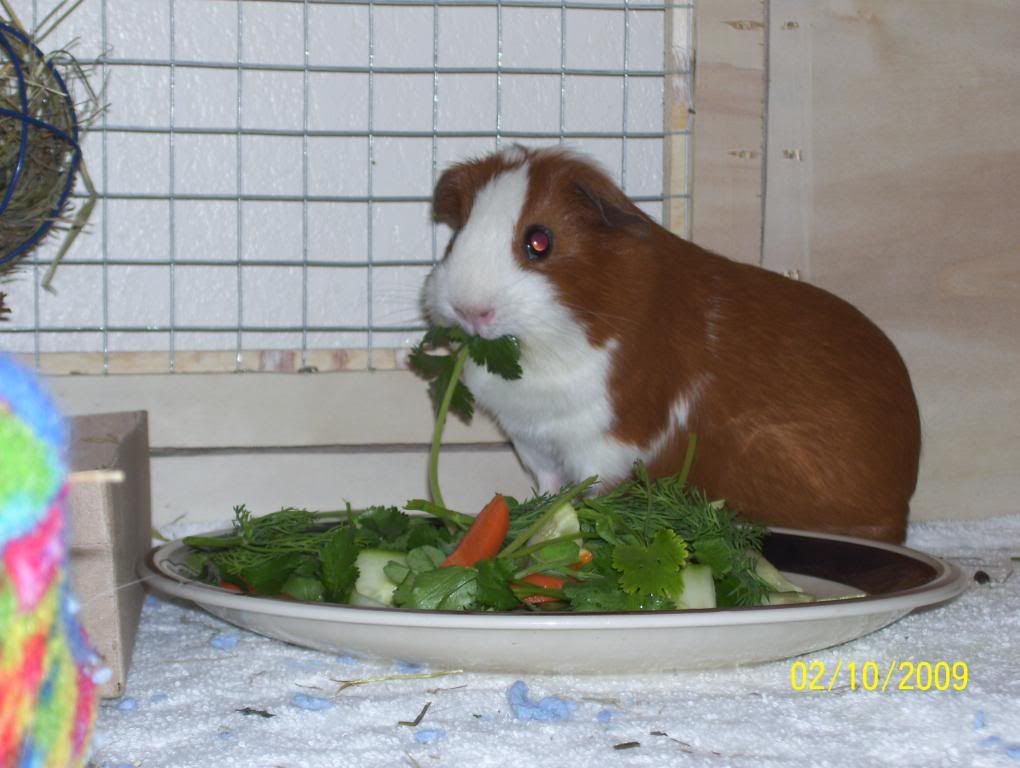 Picture018.jpg