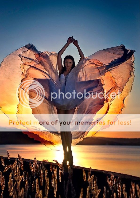 5498_zps8c1f77d4.jpg