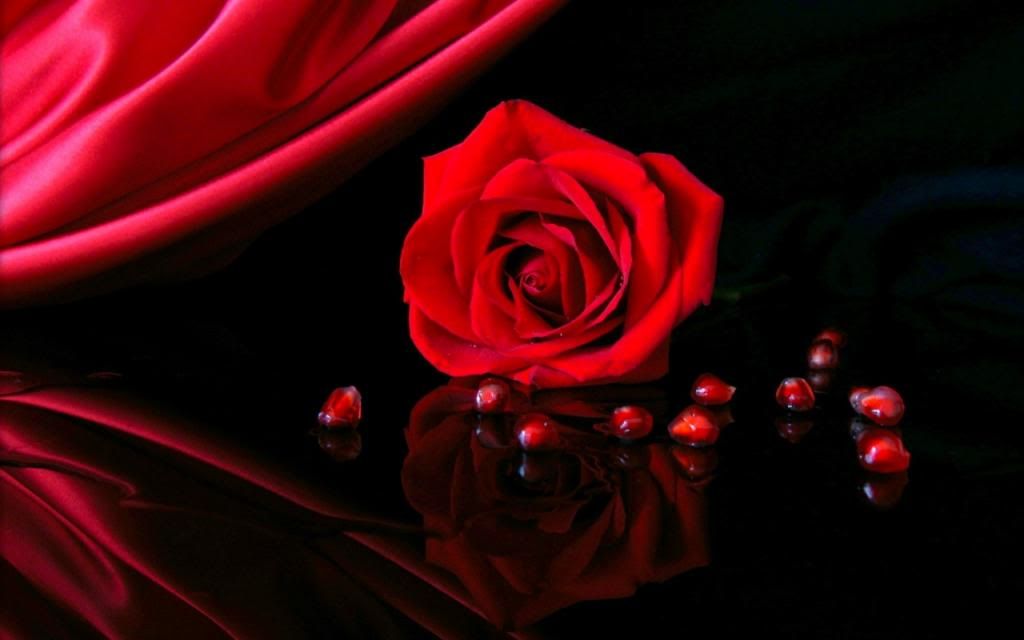 820069_zpsfc312824.jpg