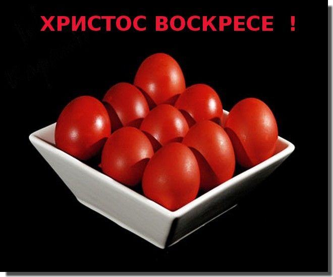 954220_zps97c7ac01.jpg