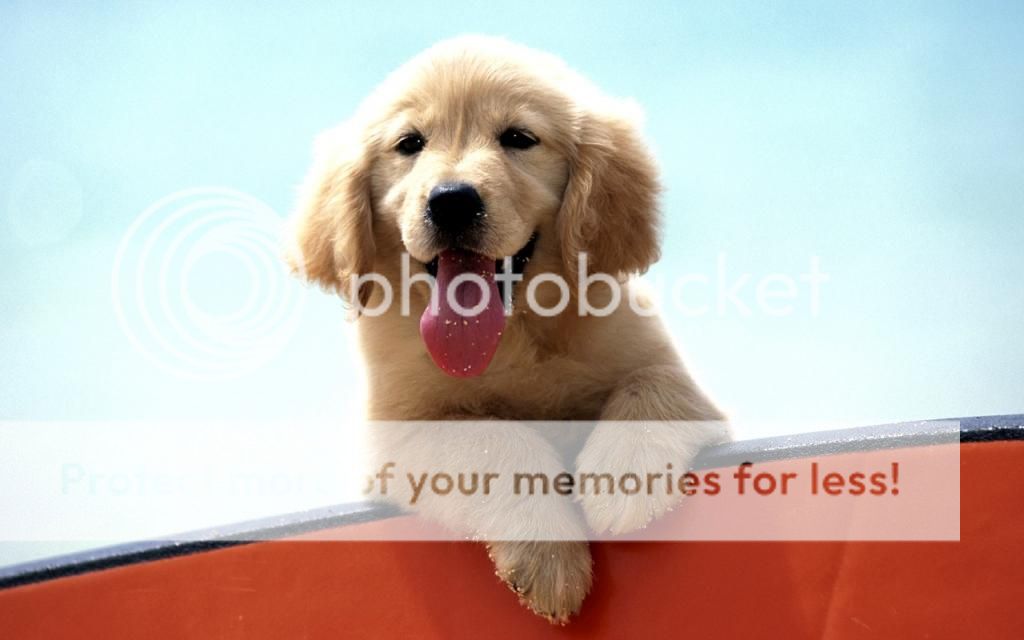 br_zps1f0a3199.jpg