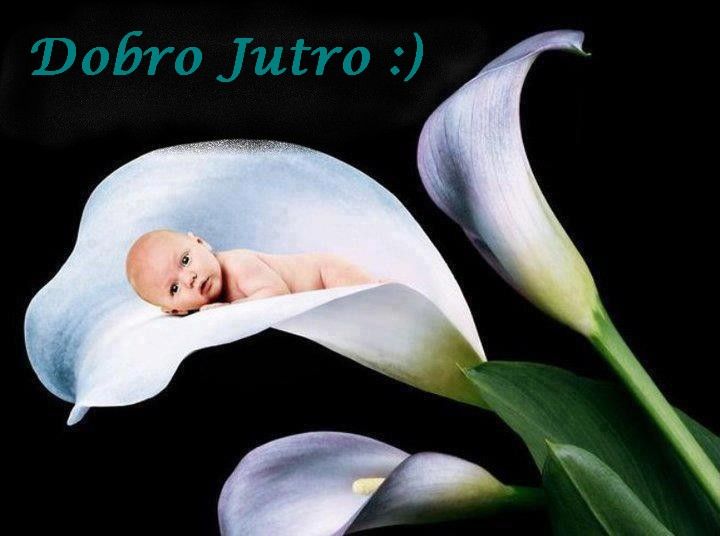 dobrojutro_zps6e4c46f8.jpg