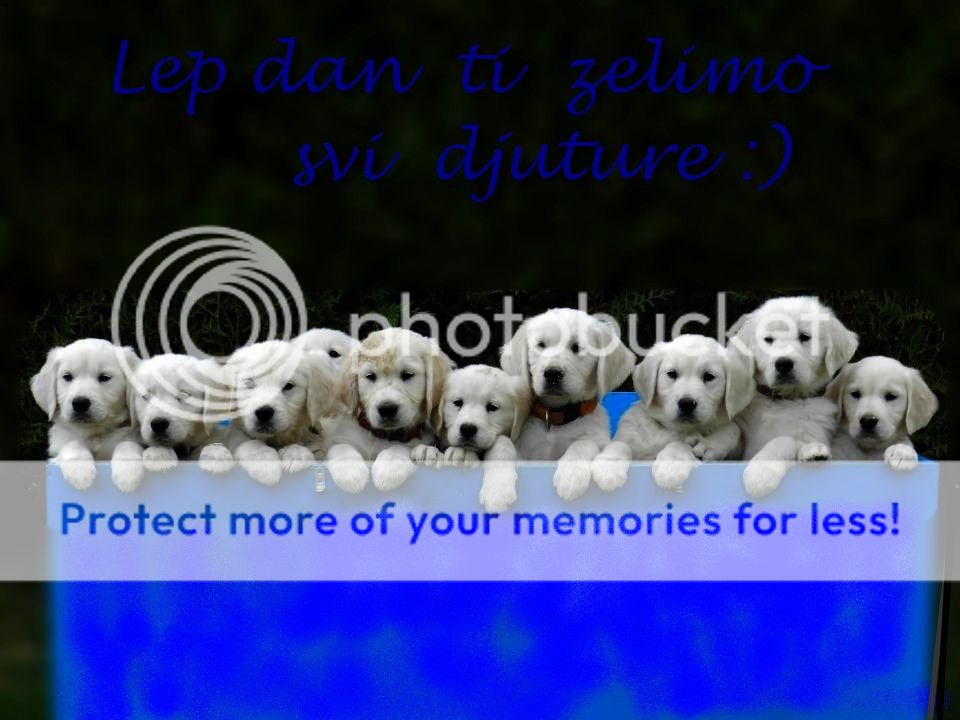 lp_zps9fa8b2c6.jpg
