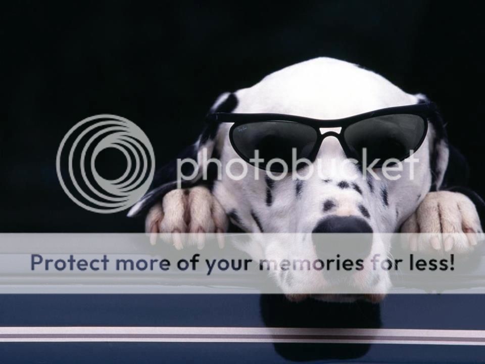 55003_zps54b7d9ed.jpg