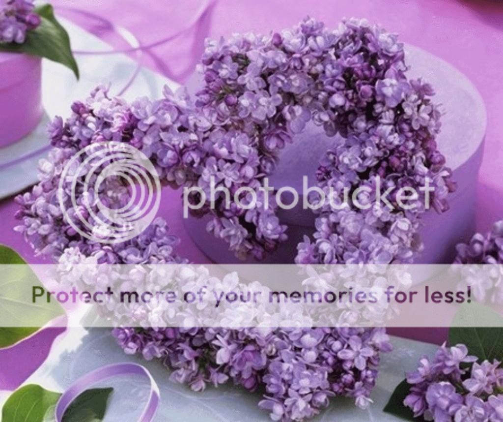 qq_zps9b29a49f.jpg