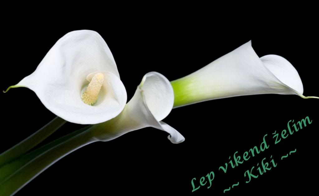 vik_zps8032461d.jpg